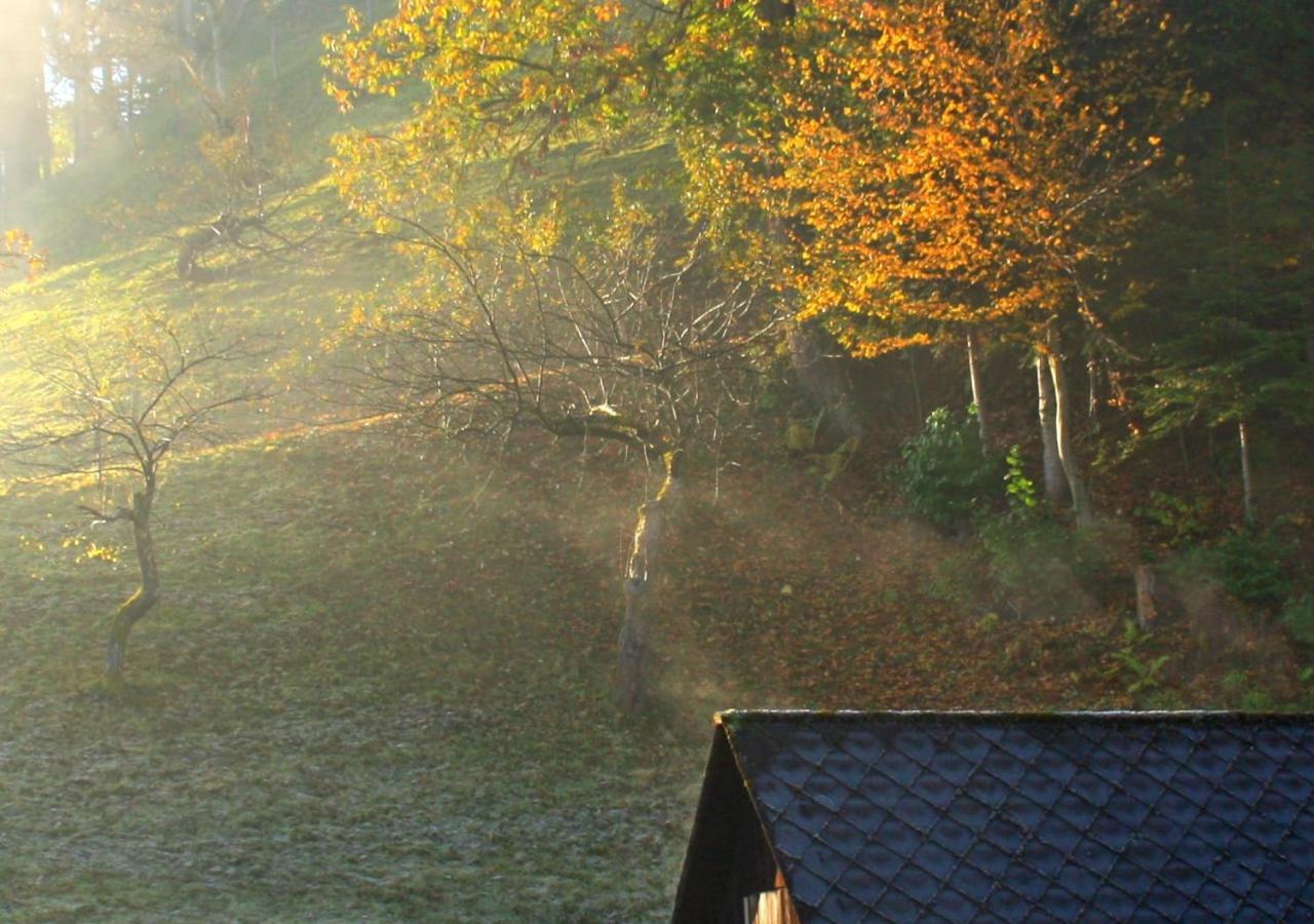 Fewo Gabi Haus Pacher Sankt Peter am Kammersberg Exteriör bild