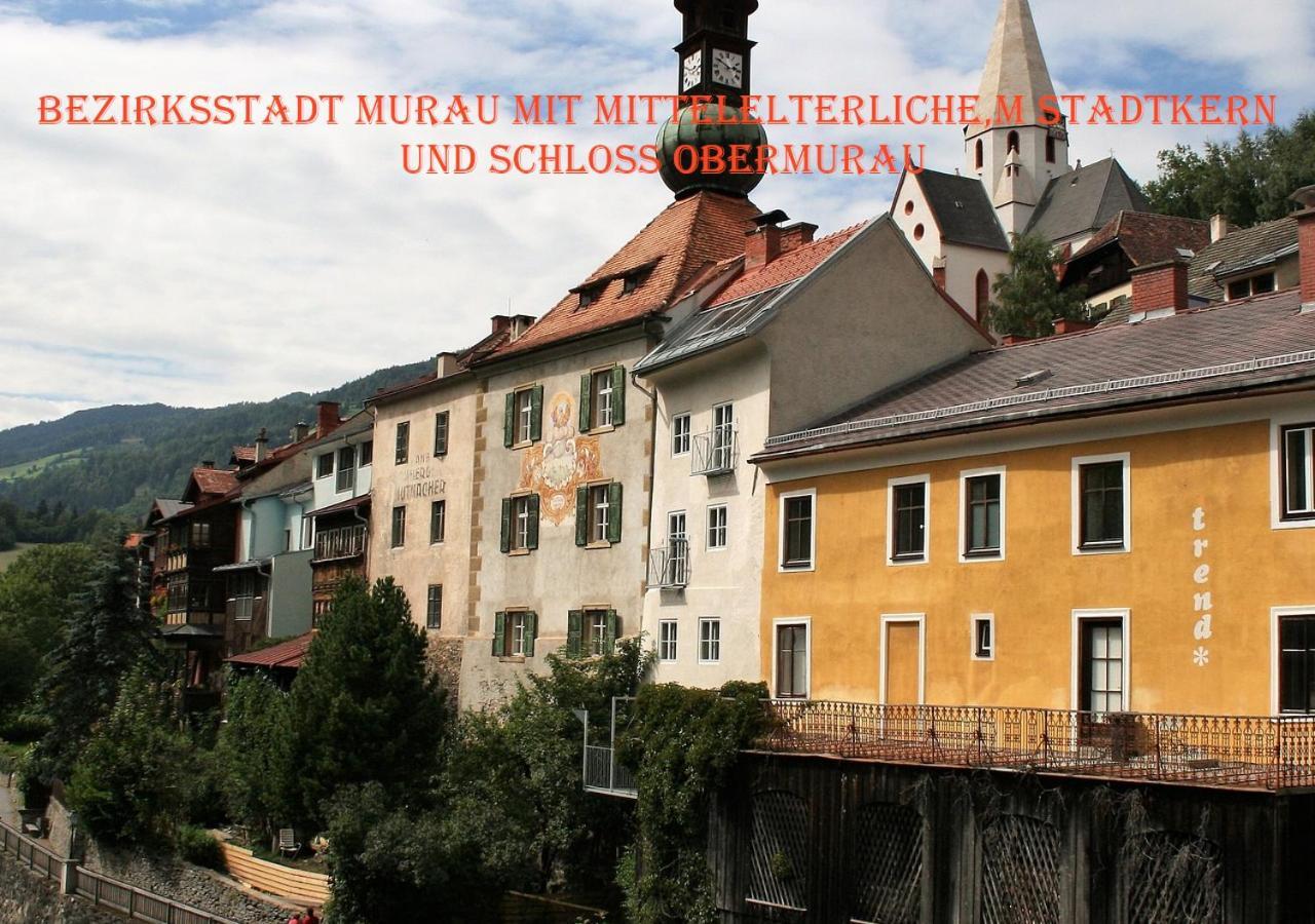 Fewo Gabi Haus Pacher Sankt Peter am Kammersberg Exteriör bild