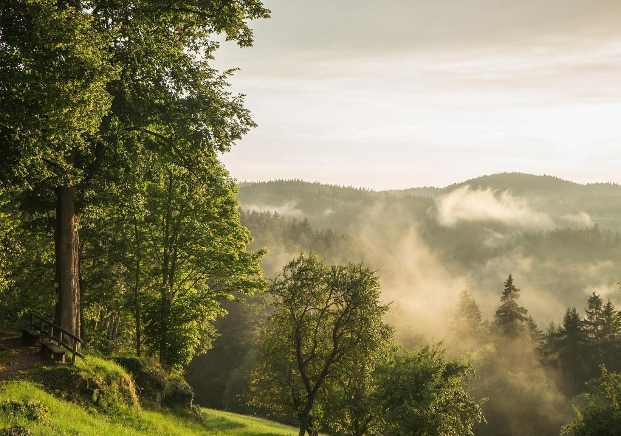 Fewo Gabi Haus Pacher Sankt Peter am Kammersberg Exteriör bild