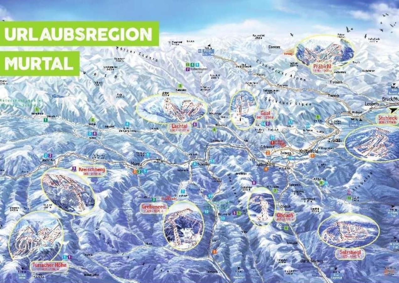 Fewo Gabi Haus Pacher Sankt Peter am Kammersberg Exteriör bild